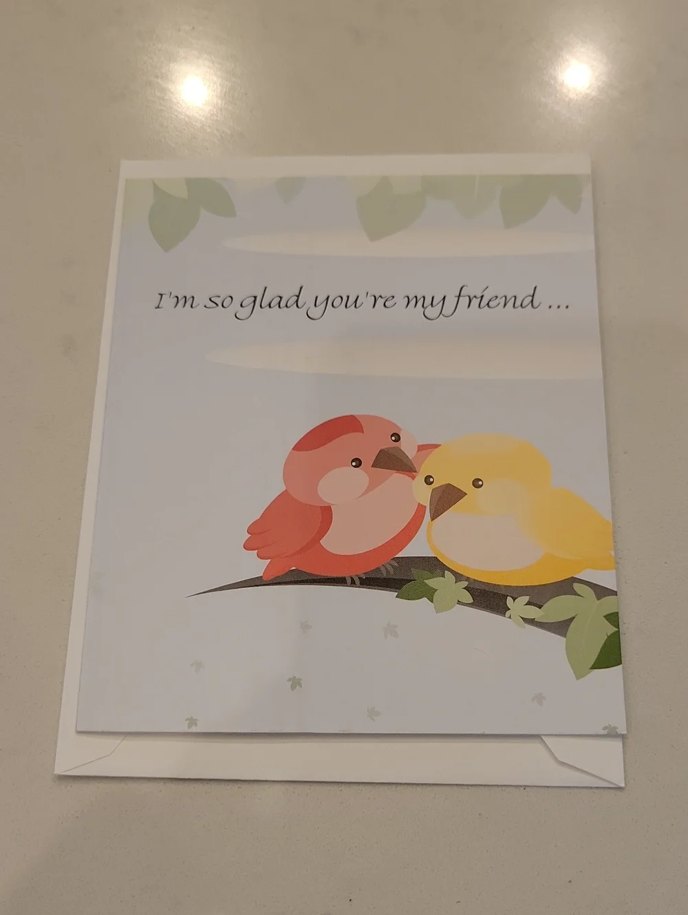 New! Assorted Bird Card Bundle